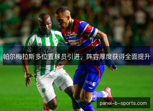 帕尔梅拉斯多位置球员引进，阵容厚度获得全面提升